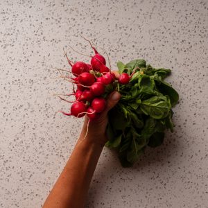 Radishes - Bunch