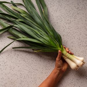 Leeks (Baby) - Bunch