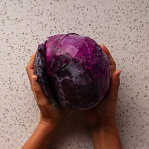 Baby Red Cabbage