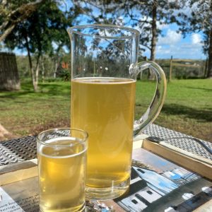 Fermented Beverages