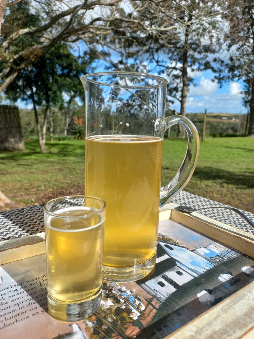 Veld Wonder Kombucha (1L)